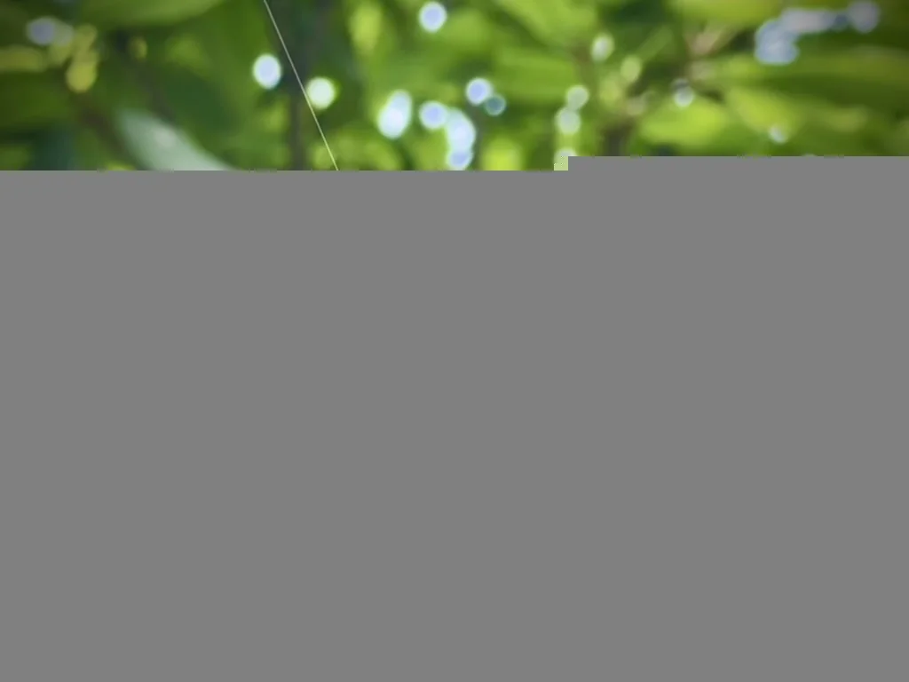 cover of previous post