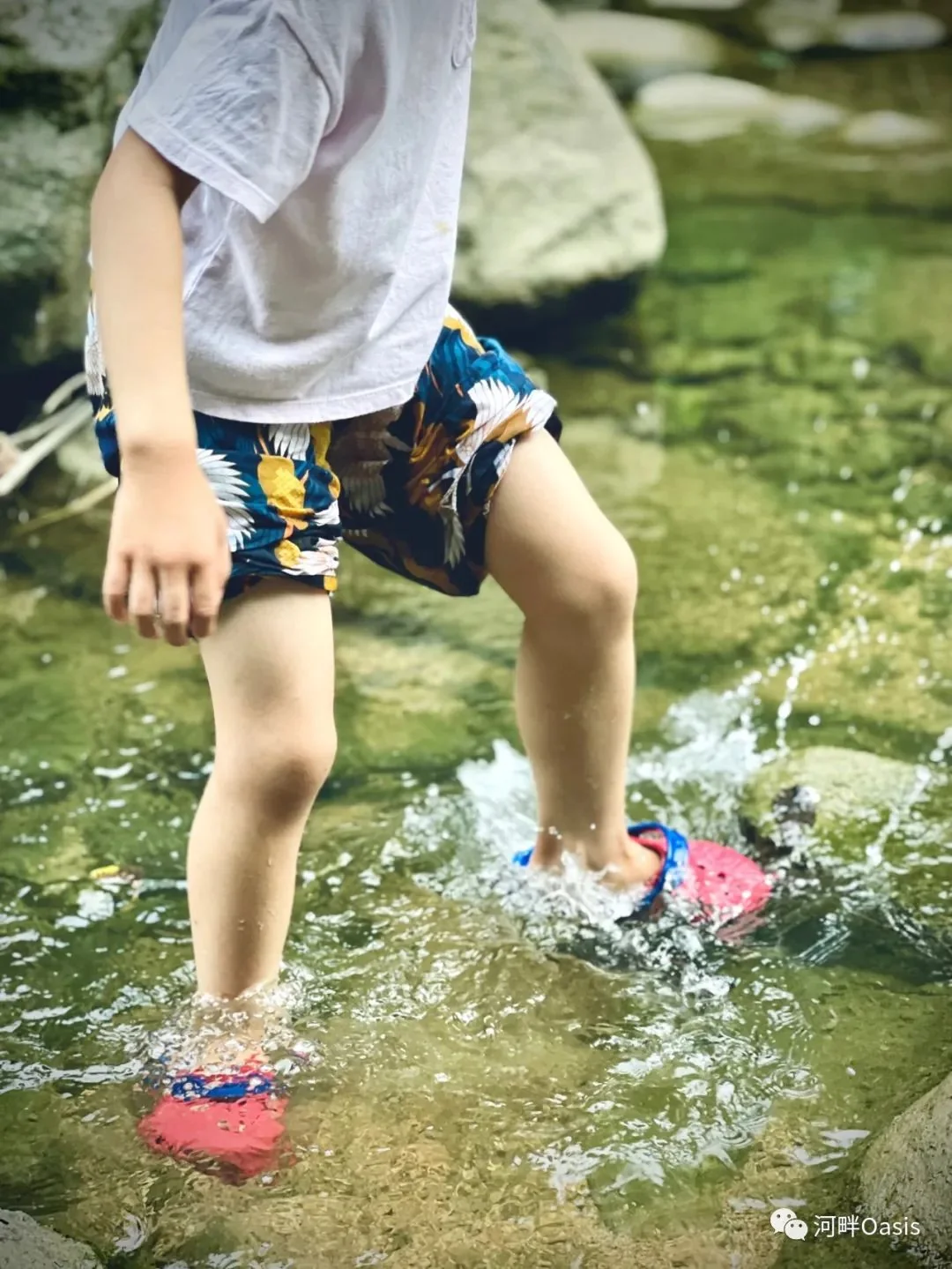 2022-8 夏天就是要玩水啊